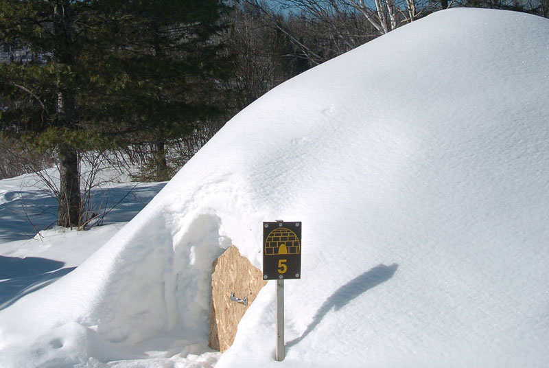 Igloo Car