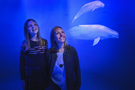 Aquarium de Montréal - Découvrez le monde aquatique comme jamais auparavant